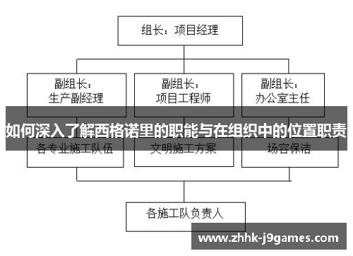 如何深入了解西格诺里的职能与在组织中的位置职责