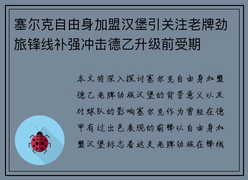 塞尔克自由身加盟汉堡引关注老牌劲旅锋线补强冲击德乙升级前受期